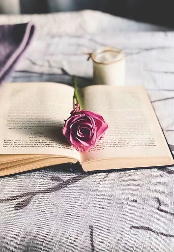 Imagen de libro abierto con rosa y energía luminosa, representando el acceso al conocimiento del alma.