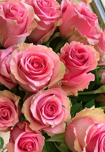 Ramo de rosas de color, evocando armonía energética durante una sesión de sanación.